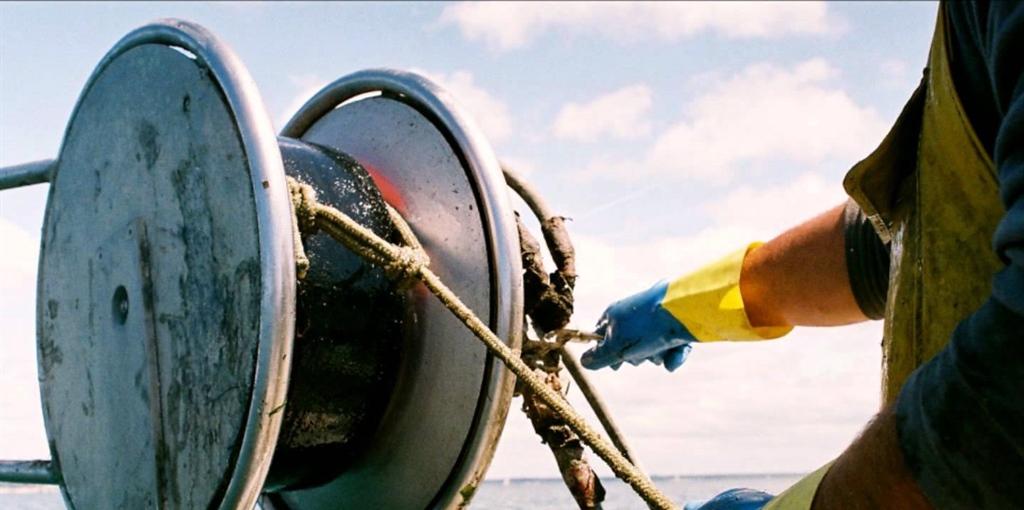 Rush finale per l’approvazione del Ddl Mare: via libera dal Senato....